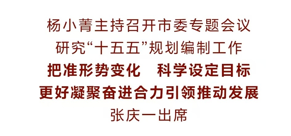 杨小菁主持召开市委专题会议研究“十五五”规划编制工作.jpg