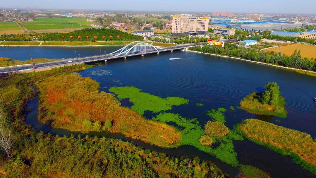 4398165360685289 2.jpg