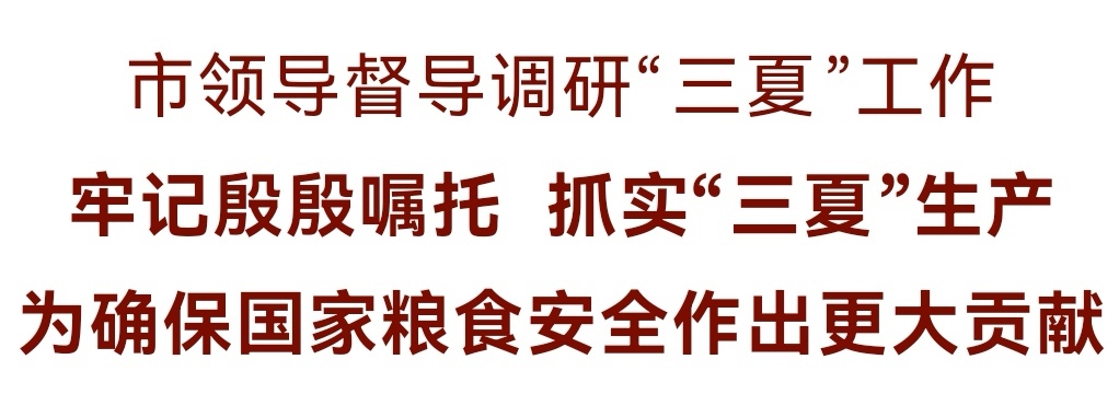 微信图片_20250528210622.jpg