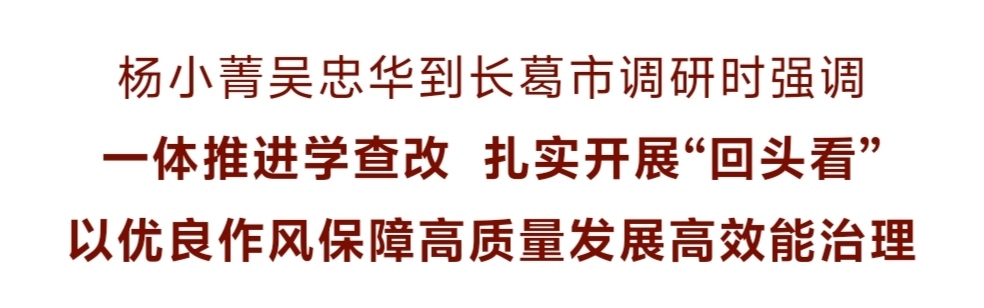 一体推进学查改 扎实开展“回头看”.jpg