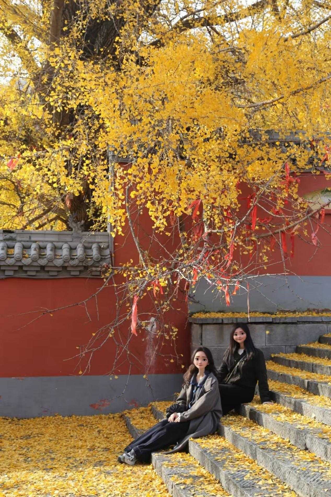 图片6.png