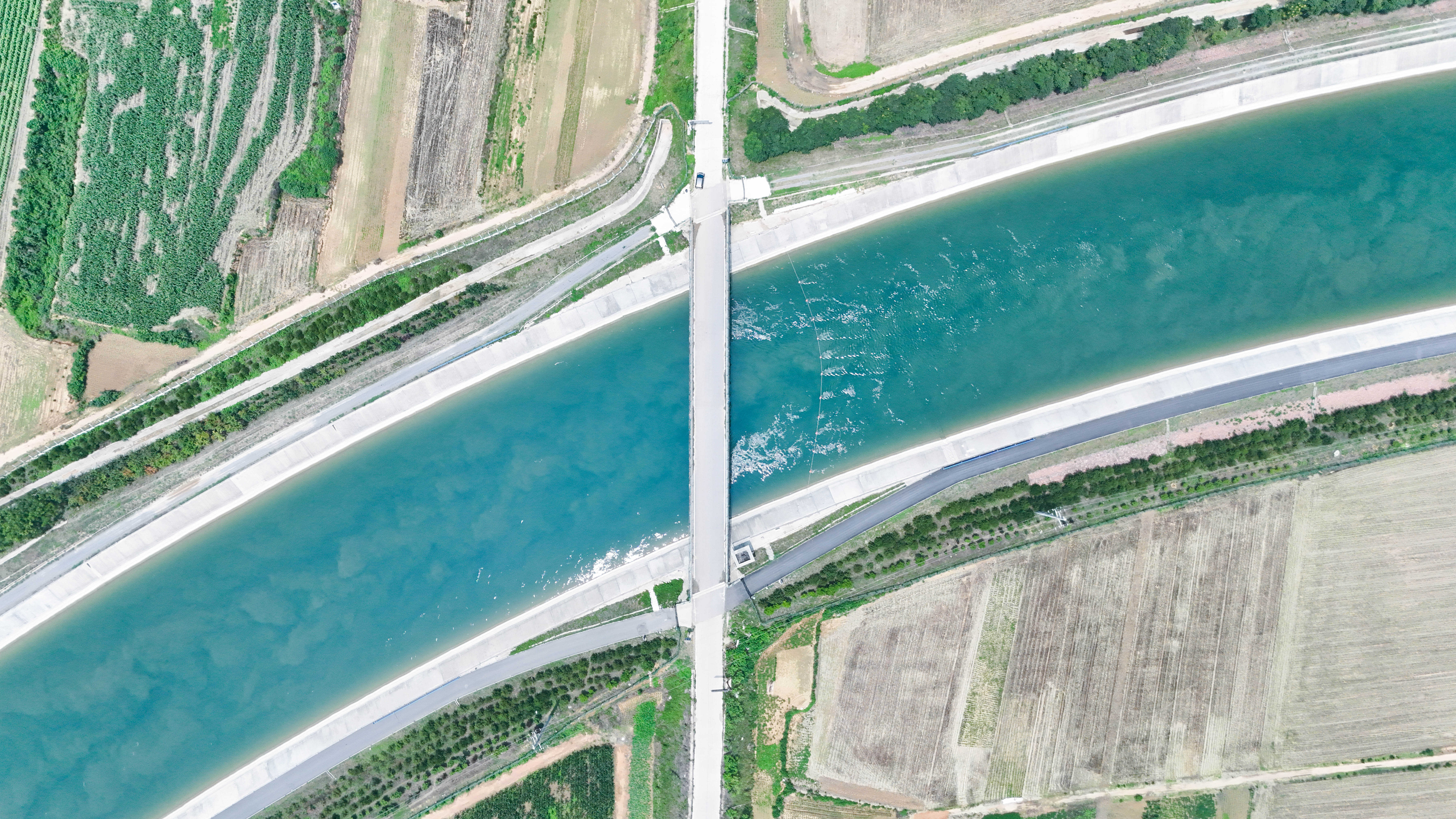 414138915331786 10.jpg